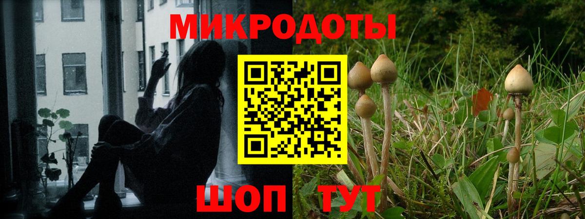 Бузулук  Псилоцибиновые грибы ЛСД  где продают   Вход с VPN 