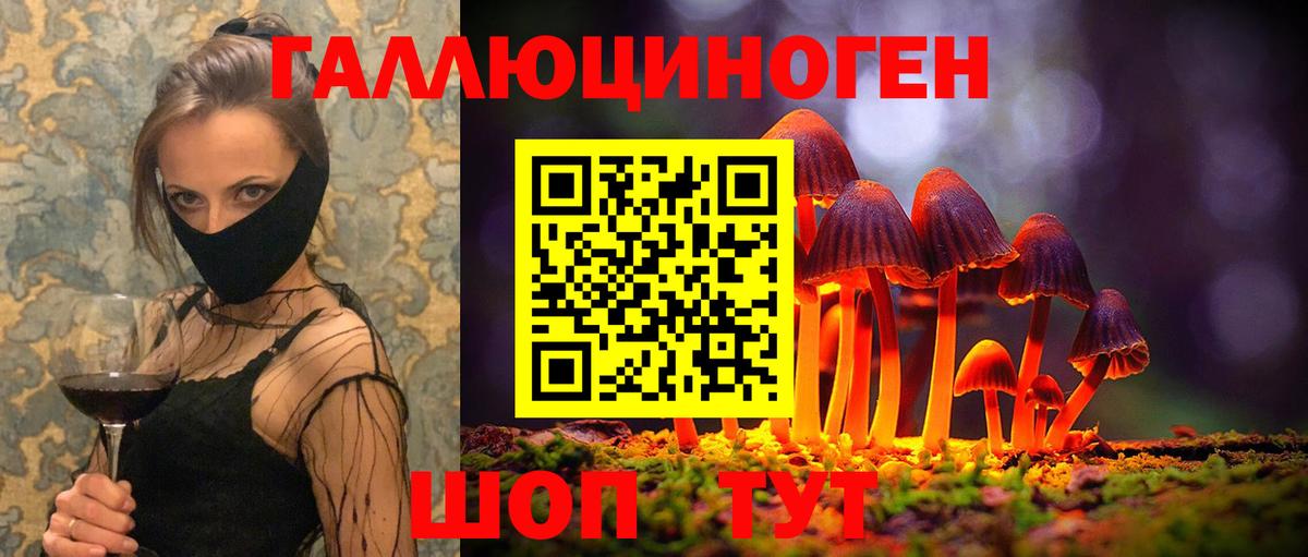 Псилоцибиновые грибы Psilocybine cubensis Бузулук